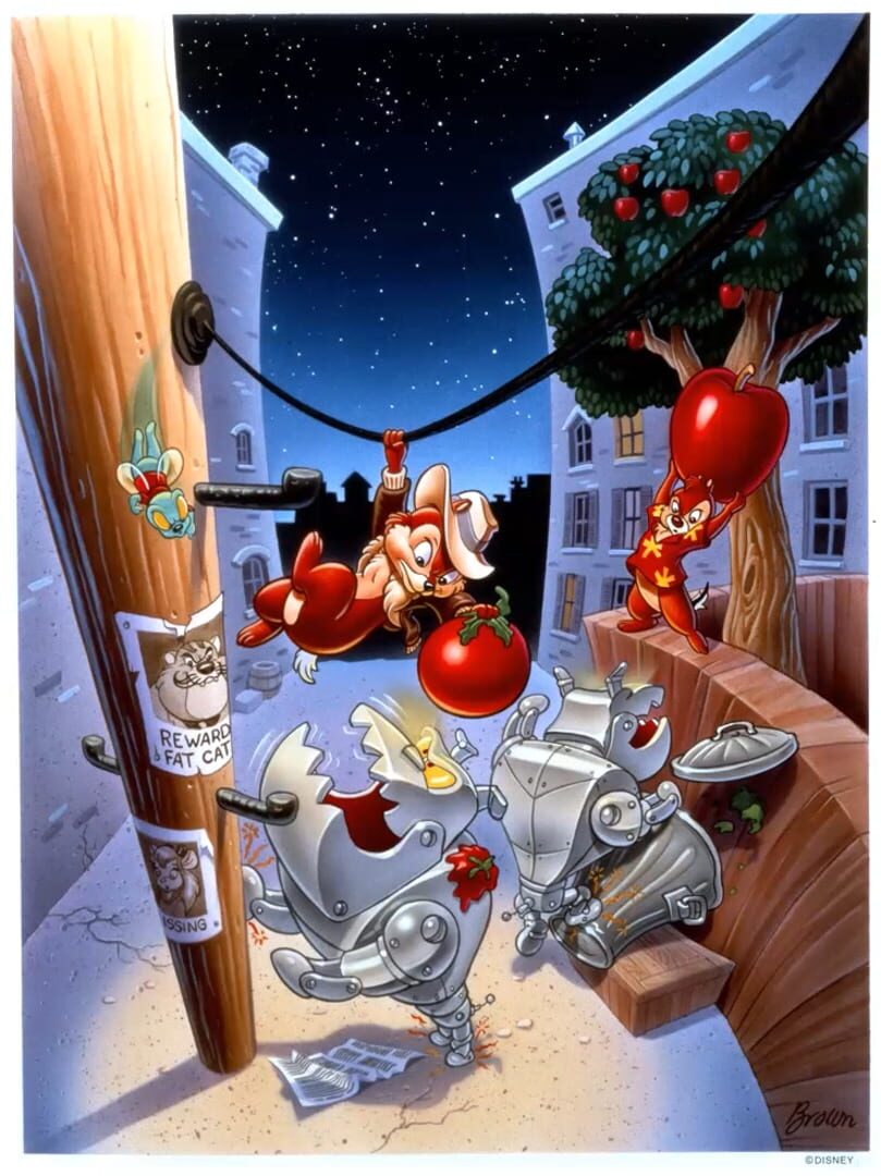 Foto do jogo The Disney Afternoon Collection