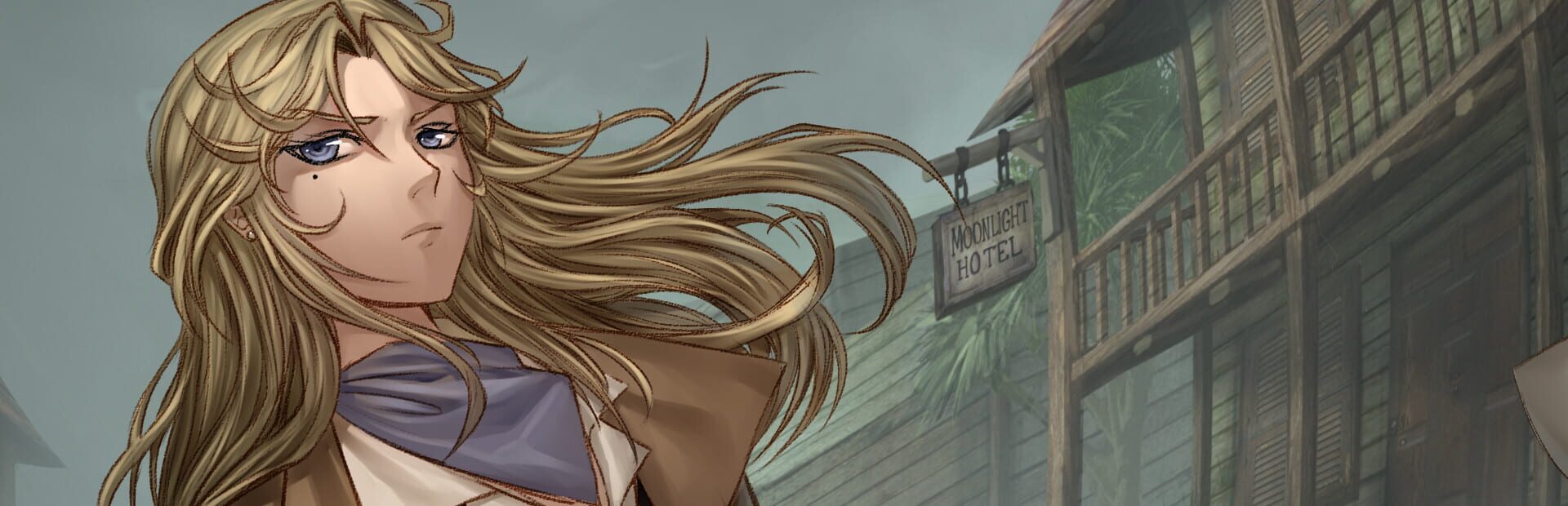 Foto do jogo The Falconers: Moonlight