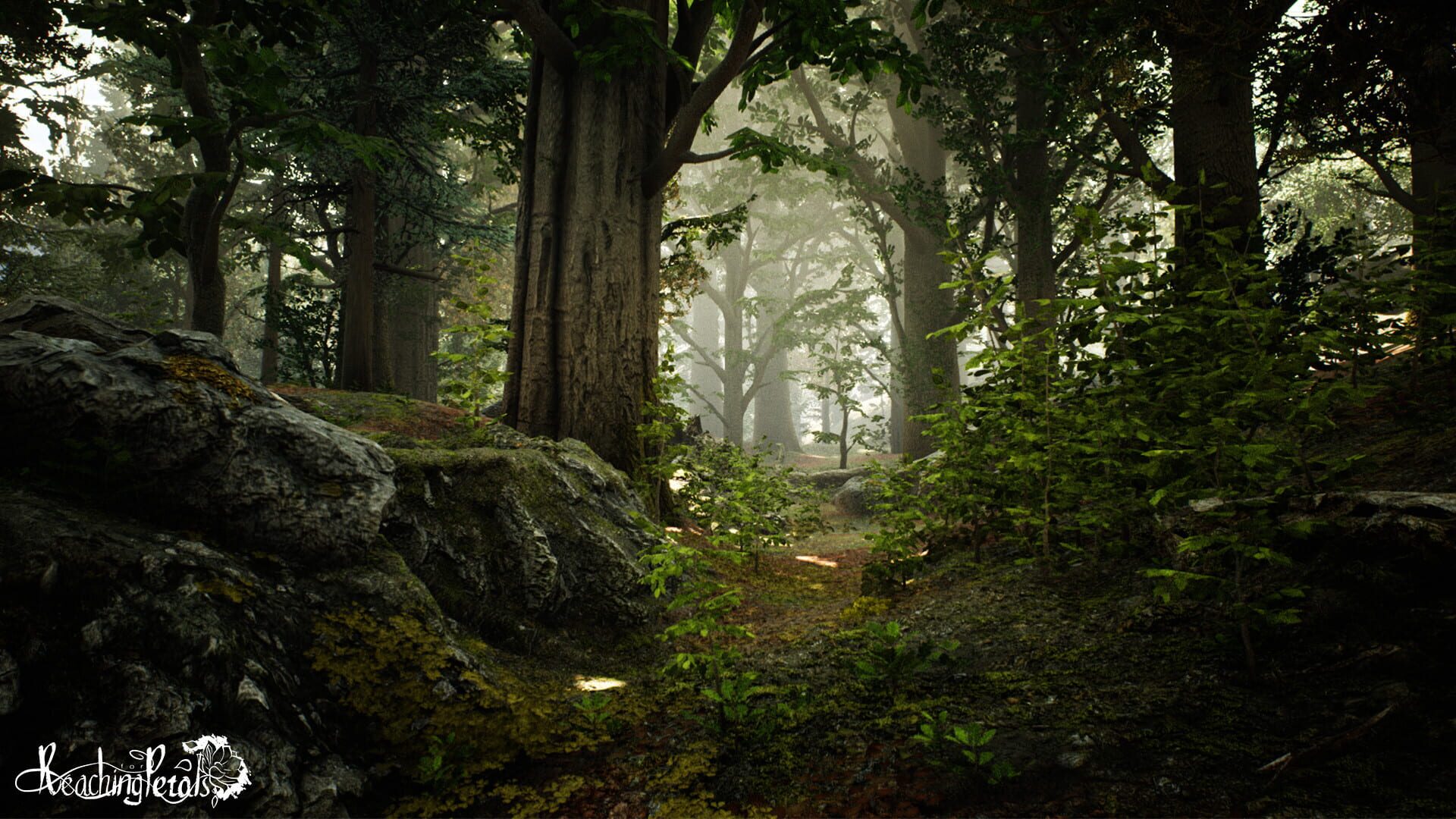 Foto do jogo Reaching for Petals