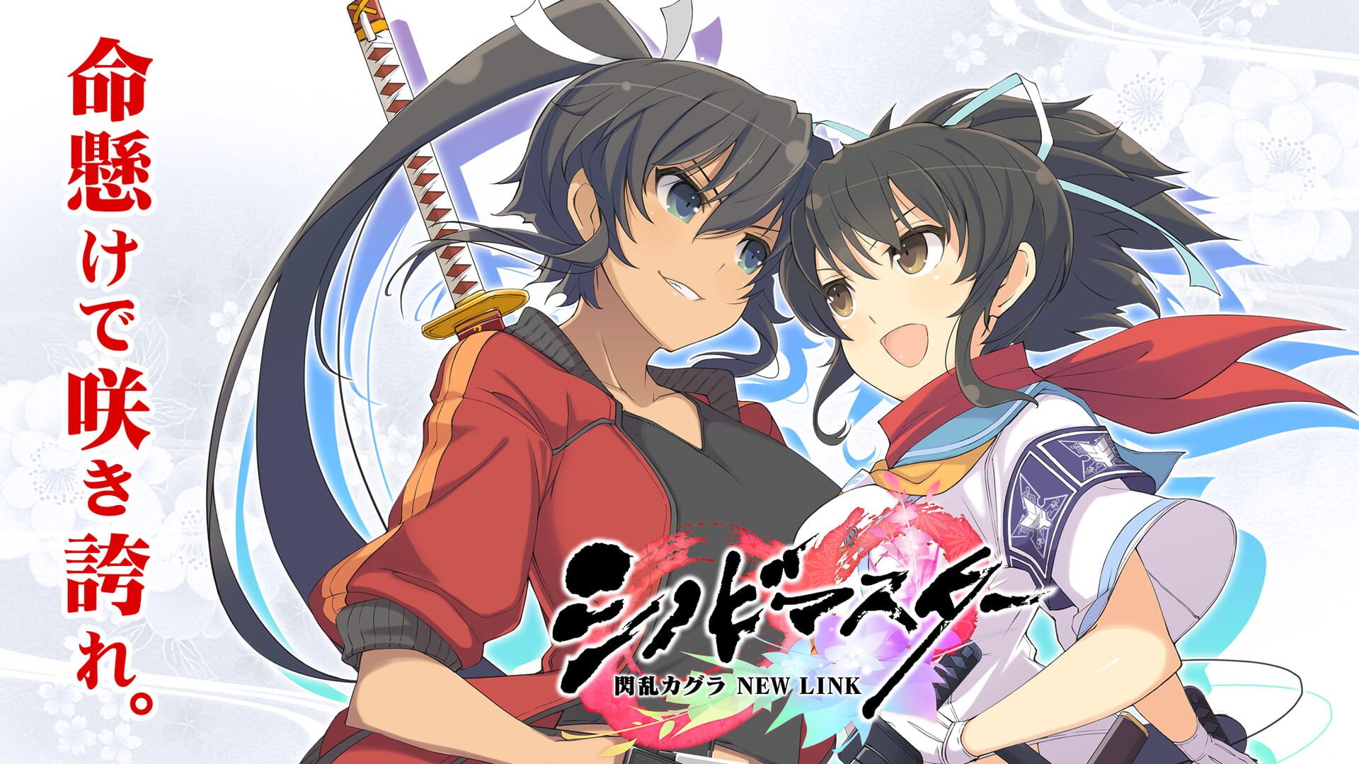 Foto do jogo Senran Kagura: New Link