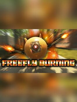 Foto do jogo FreeFly Burning