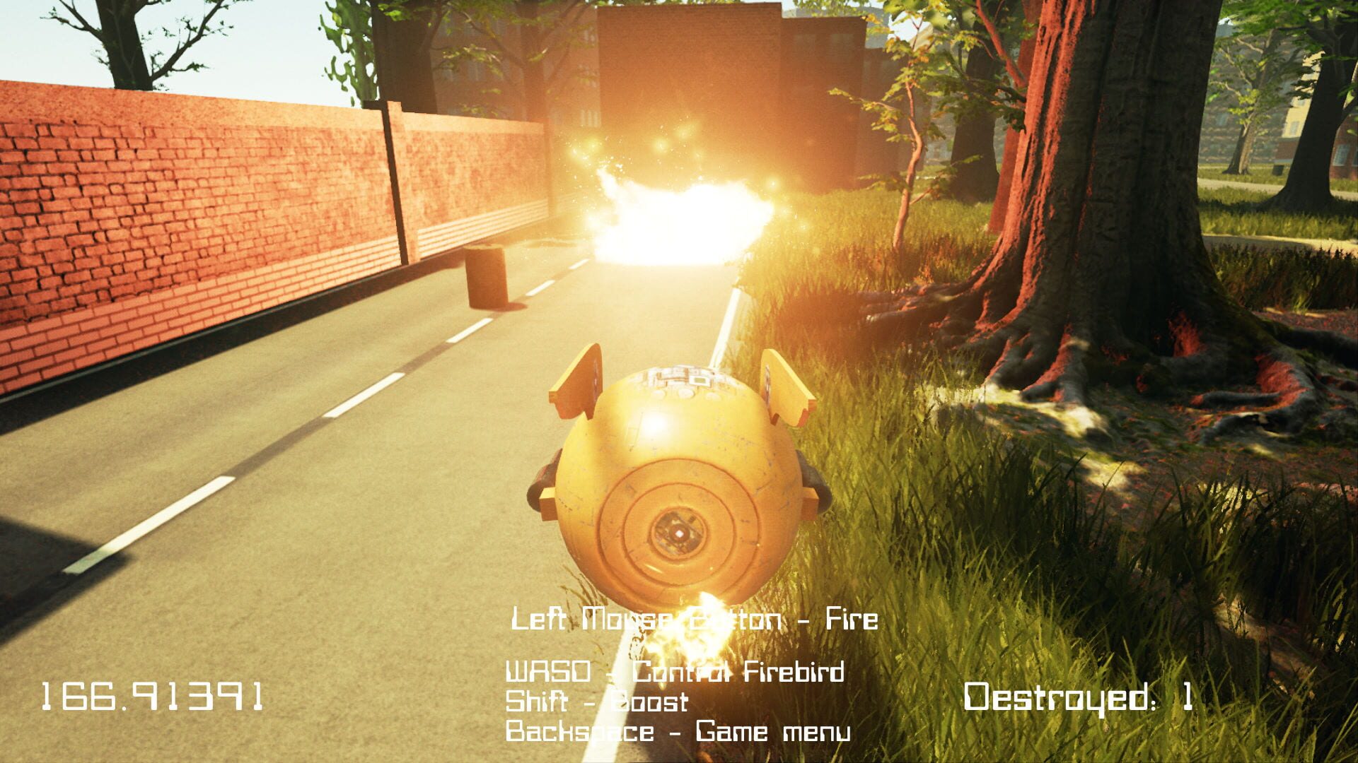 Foto do jogo FreeFly Burning