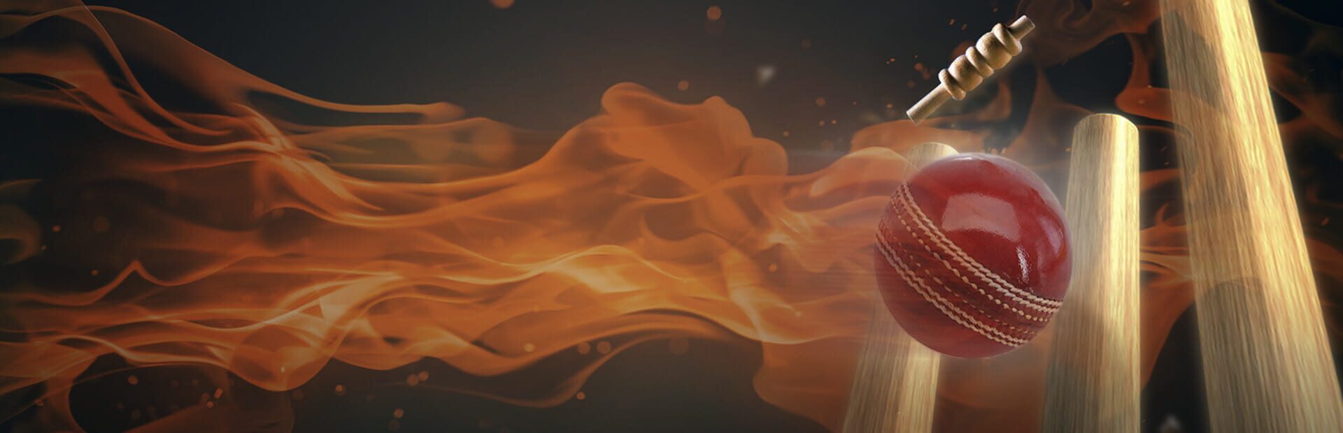 Foto do jogo Ashes Cricket