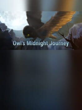 Foto do jogo Owl's Midnight Journey
