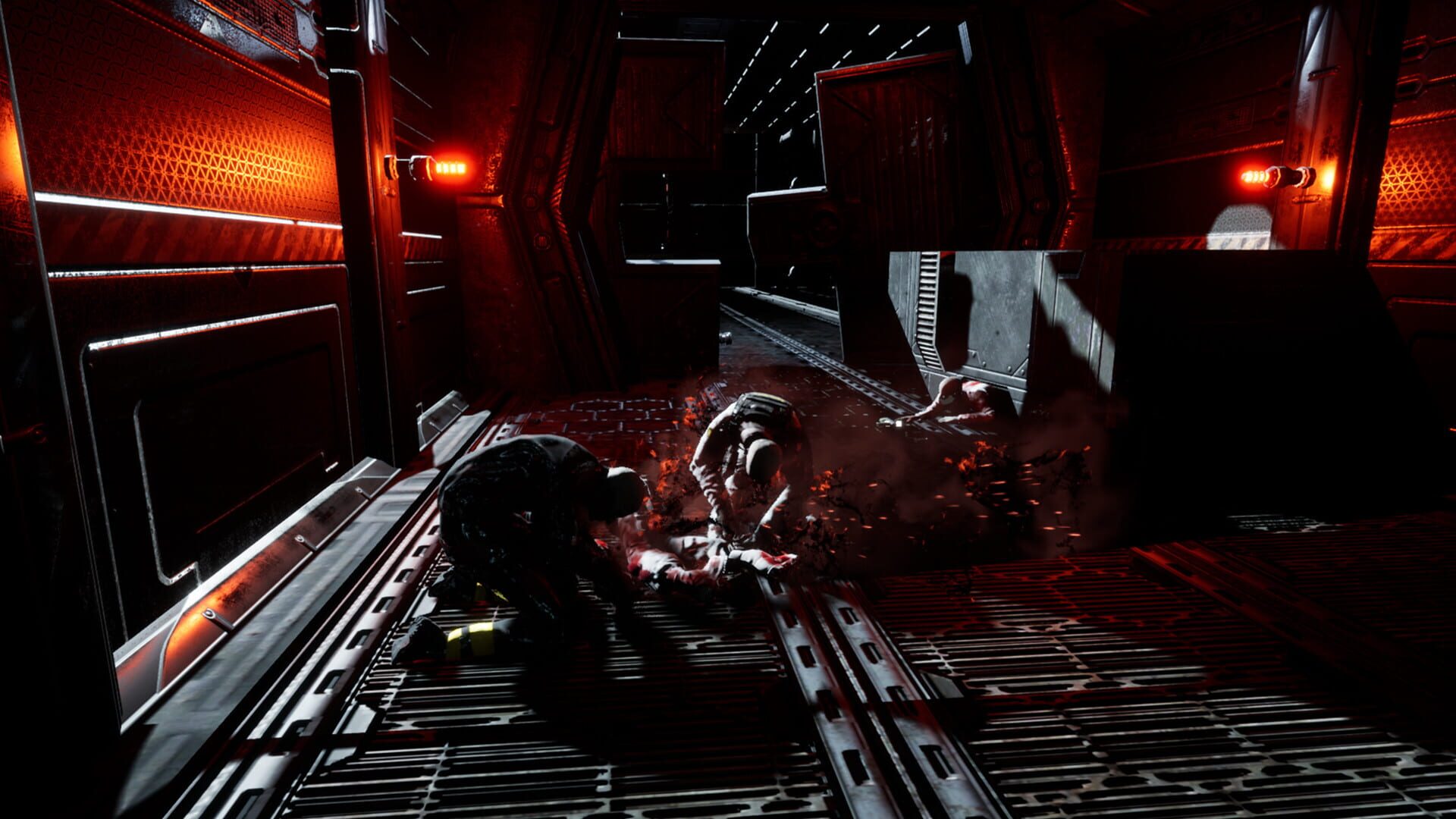 Foto do jogo Ashes of the Ark
