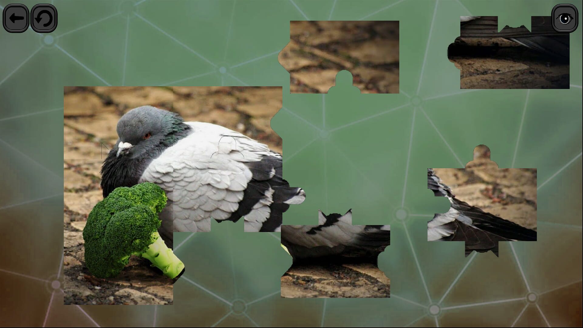 Foto do jogo Puzzles for Smart: Birds