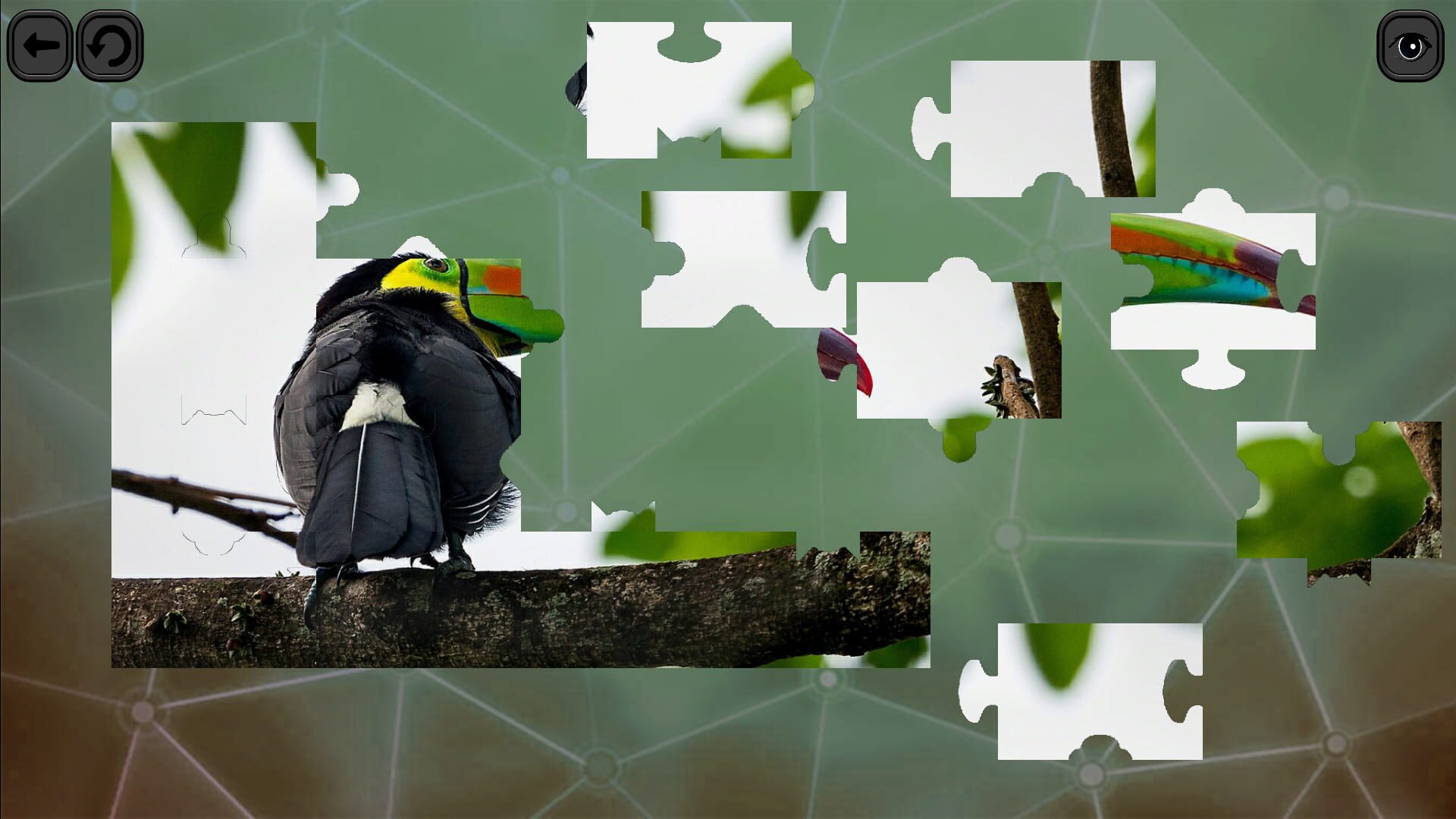 Foto do jogo Puzzles for Smart: Birds