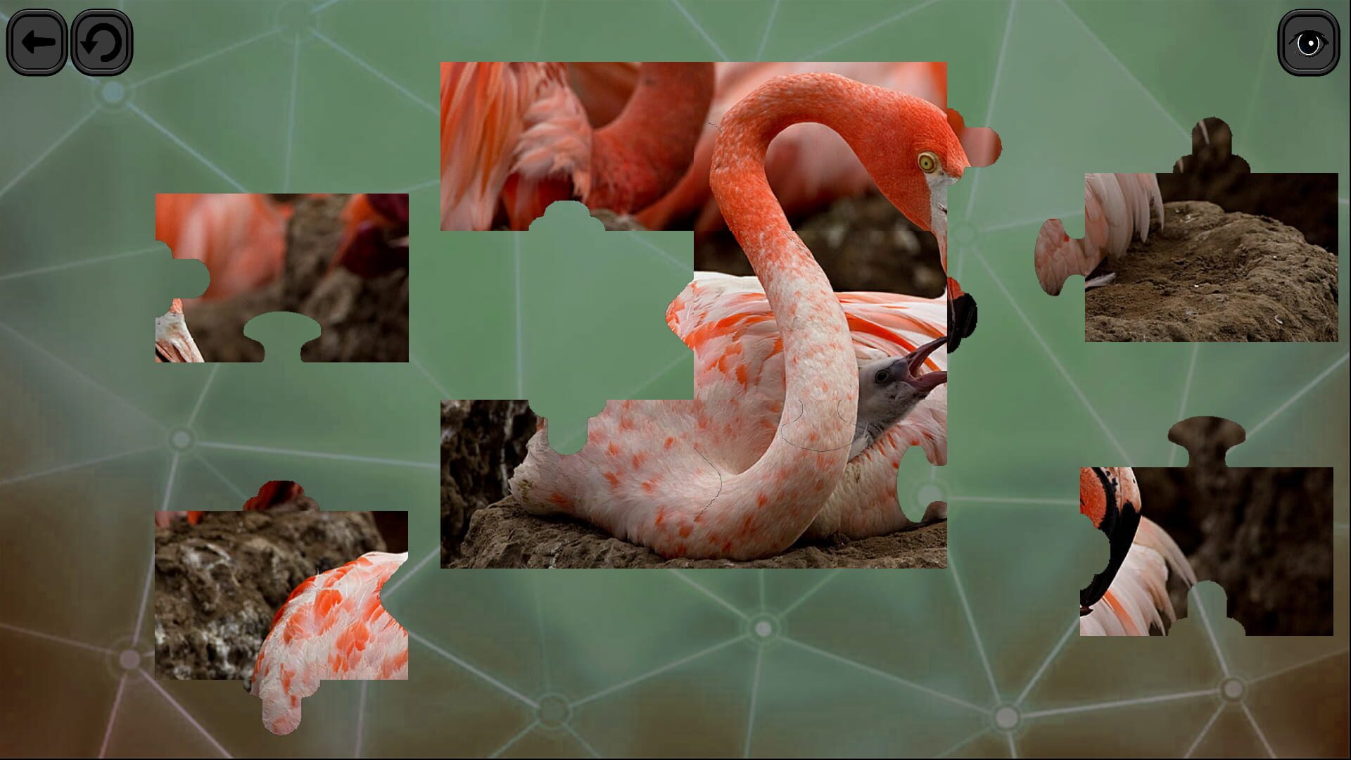 Foto do jogo Puzzles for Smart: Birds
