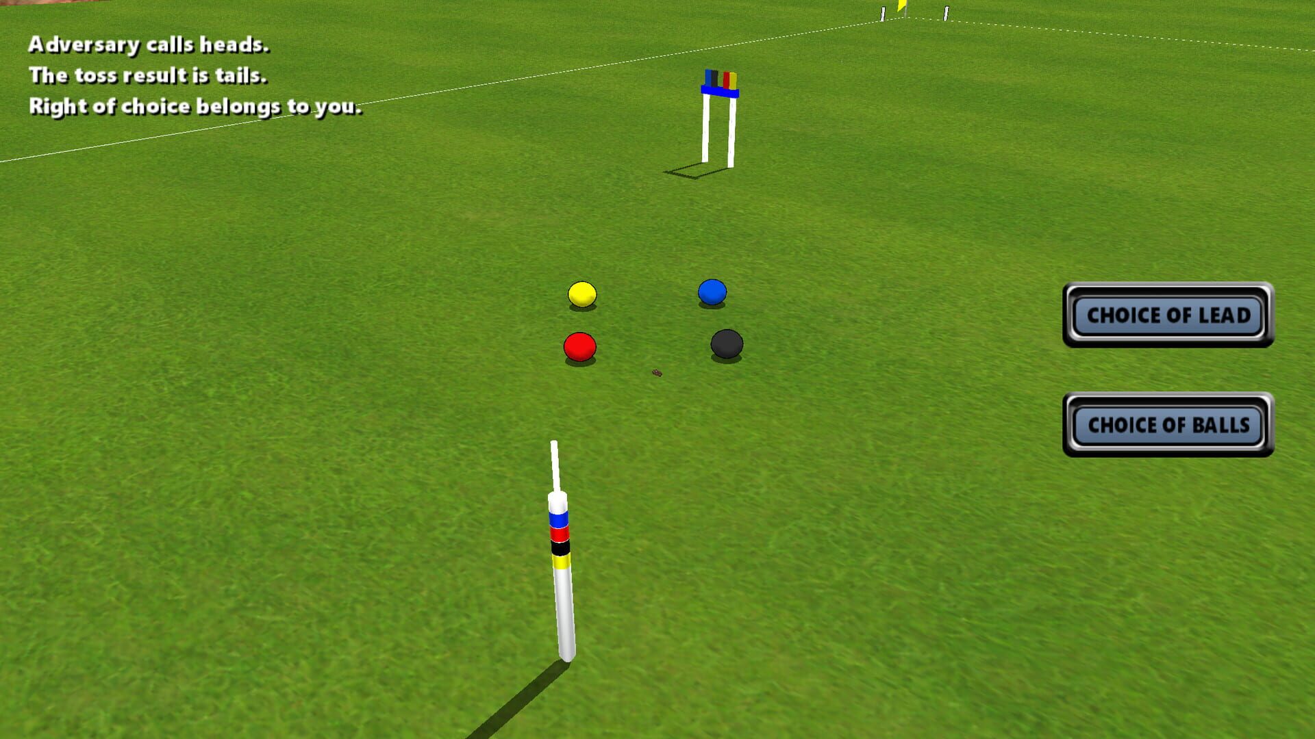 Foto do jogo Croquet Pro 2