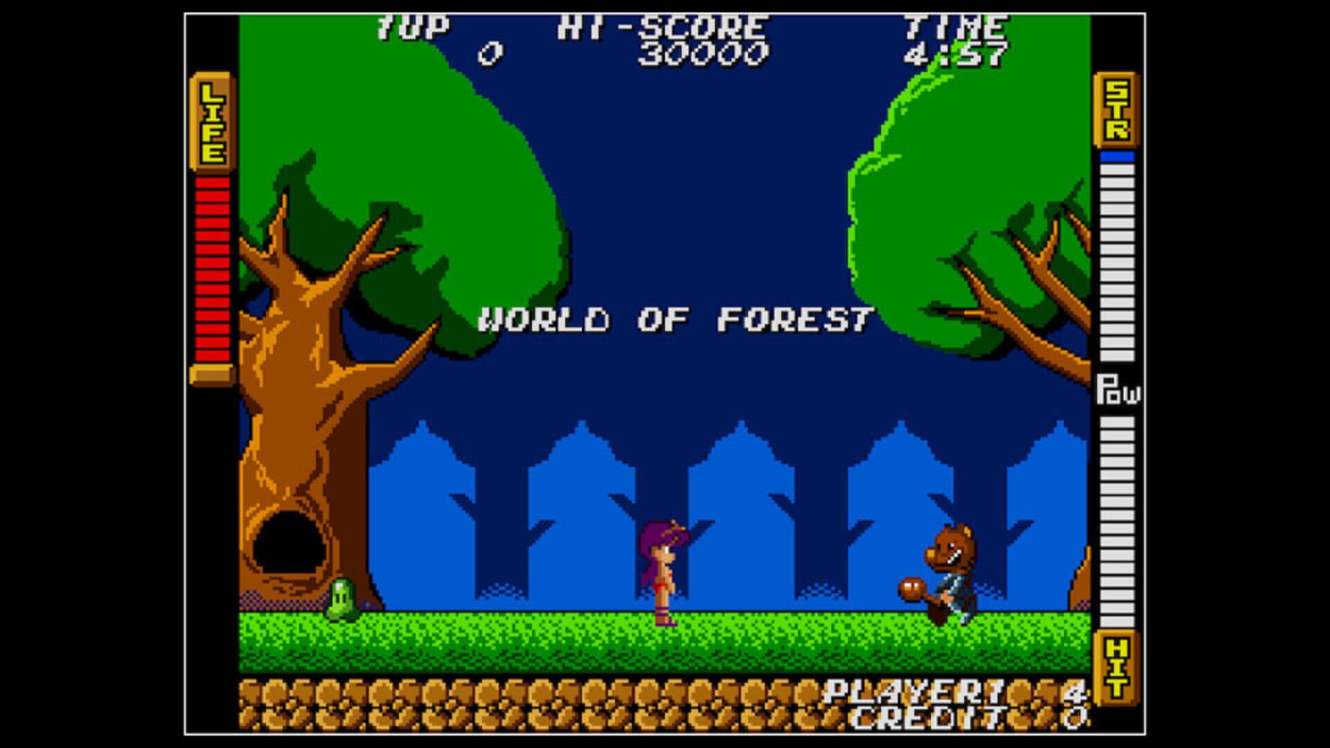 Foto do jogo Arcade Archives: Athena