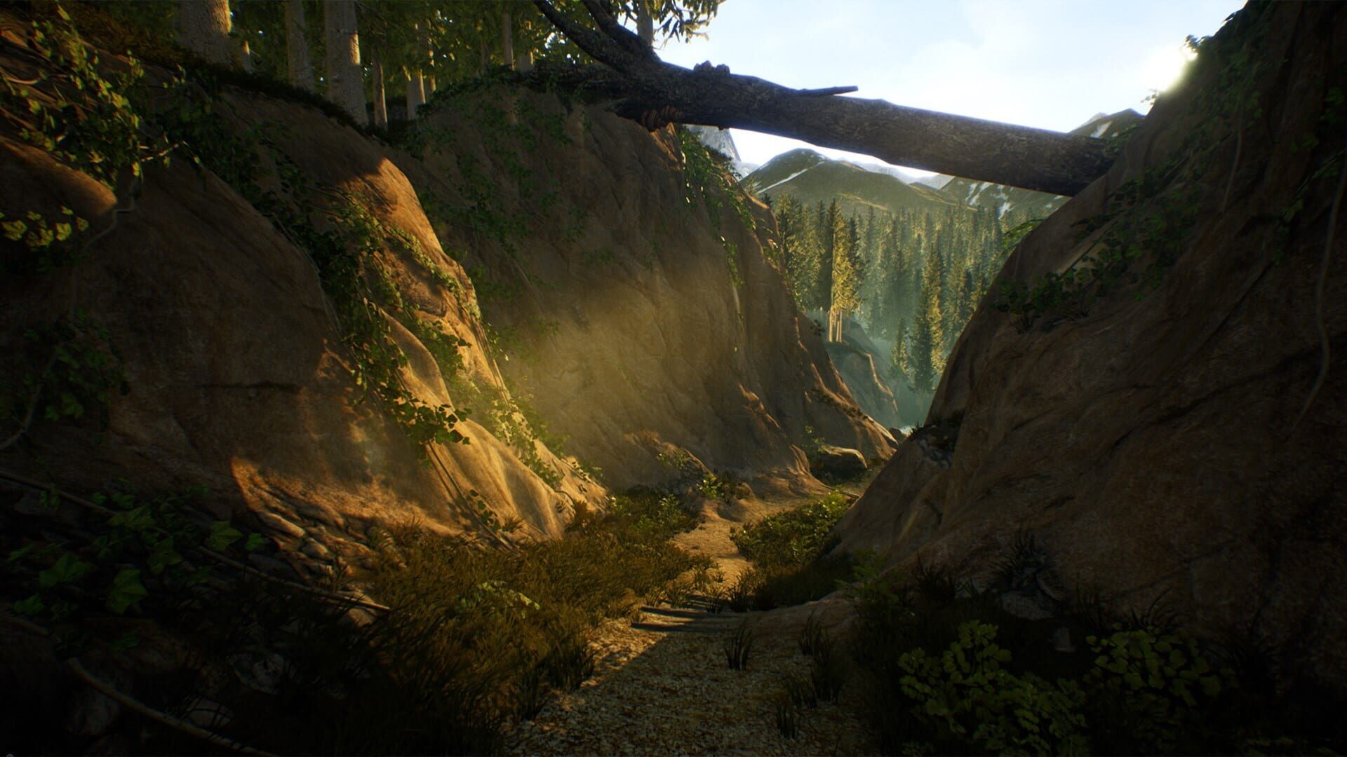 Foto do jogo Treasure Hunter Simulator