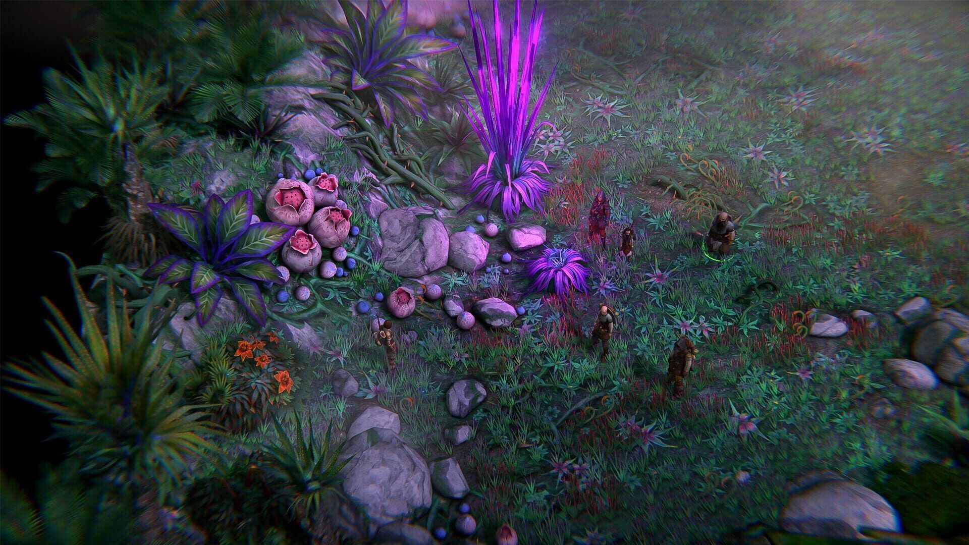 Foto do jogo Pathfinder: Kingmaker - The Wildcards