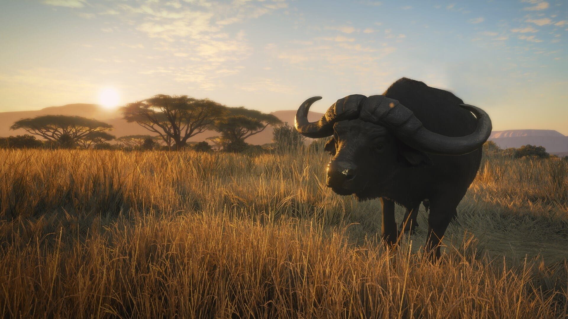 Foto do jogo TheHunter: Call of the Wild - Vurhonga Savanna