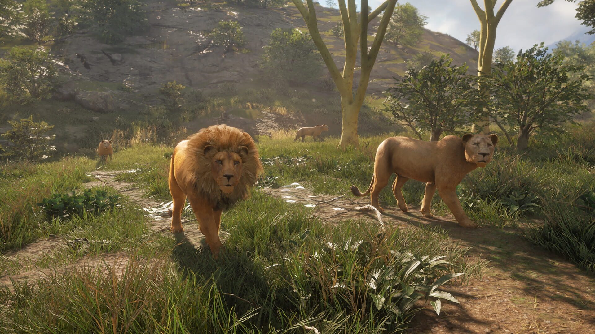 Foto do jogo TheHunter: Call of the Wild - Vurhonga Savanna