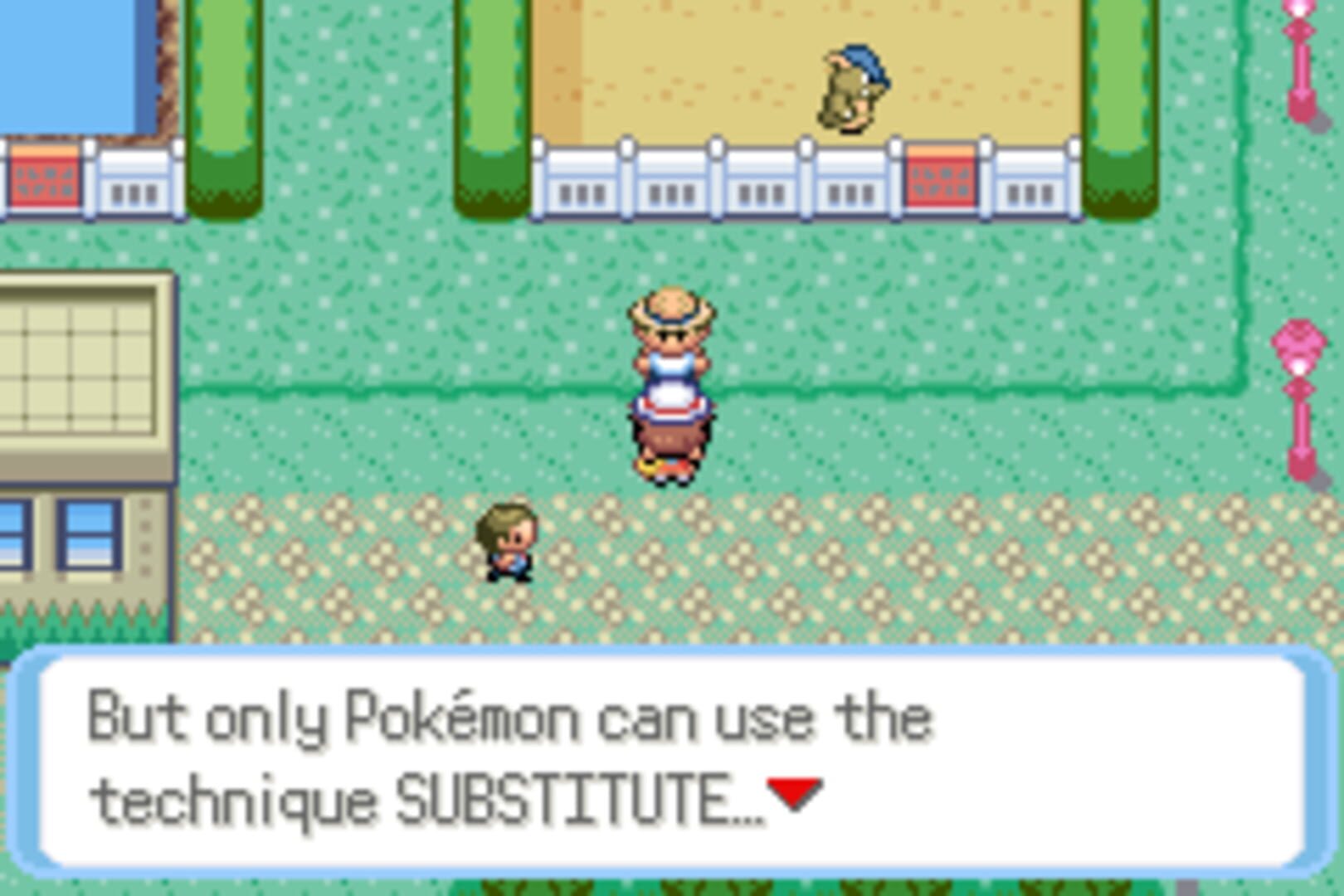 Foto do jogo Pokémon DarkViolet Version