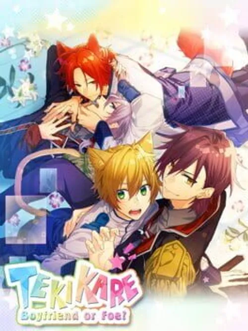 TekiKare: Boyfriend or Foe?