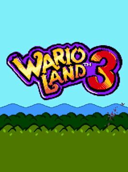 Foto do jogo Wario Land 3: The Master Quest