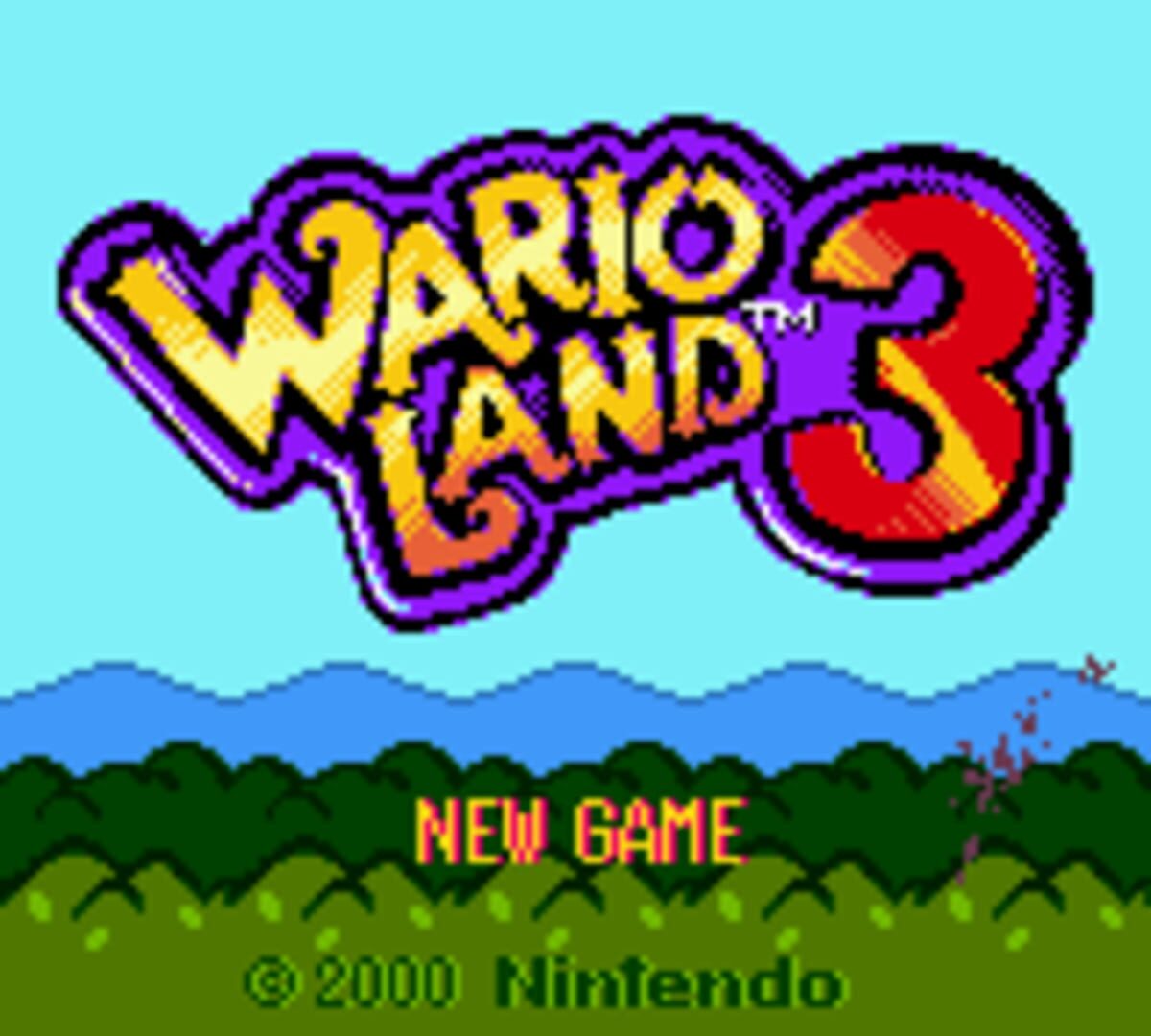 Foto do jogo Wario Land 3: The Master Quest