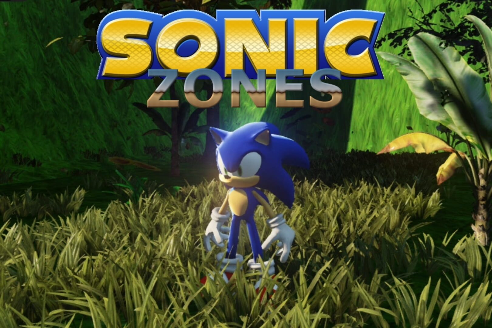 Foto do jogo Sonic Zones
