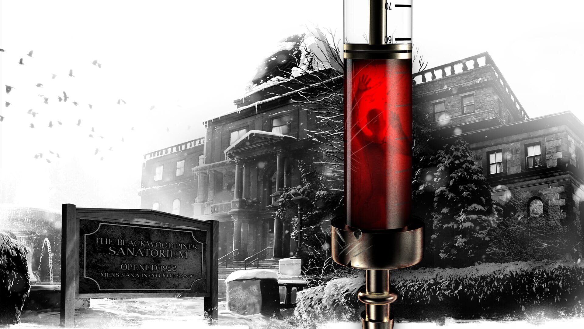 Foto do jogo The Inpatient