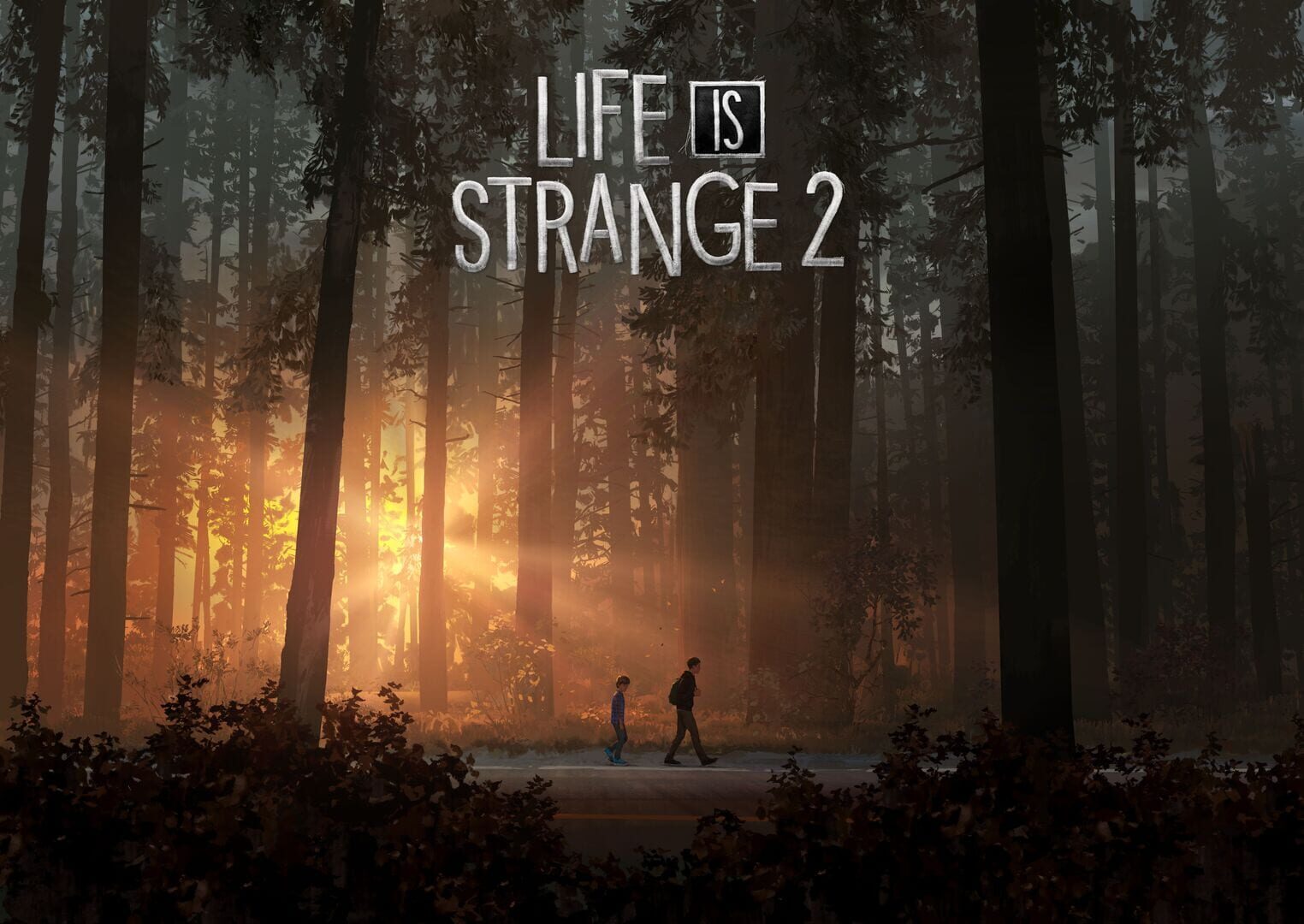 Foto do jogo Life is Strange 2