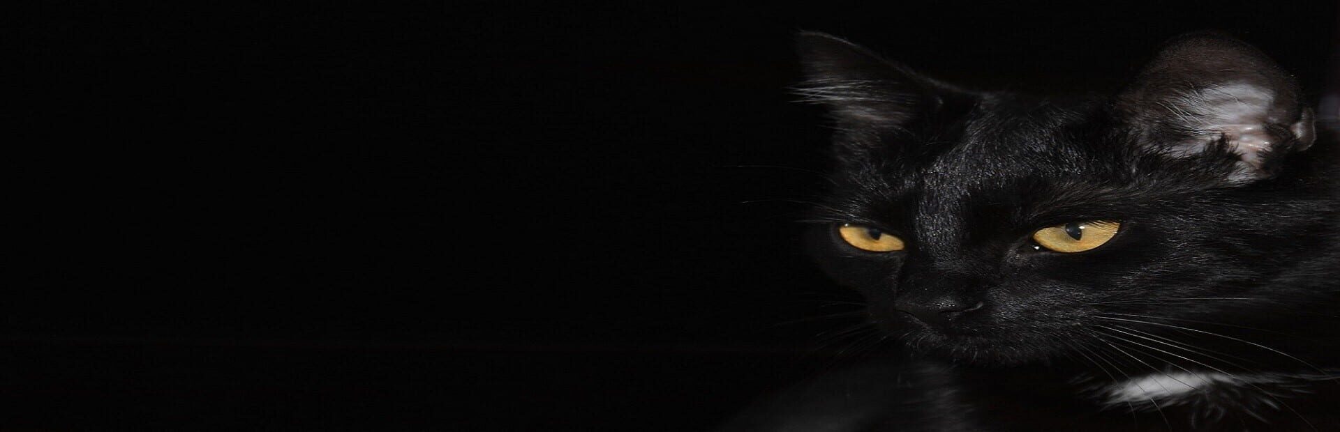 Foto do jogo Mouse (Sneaking)