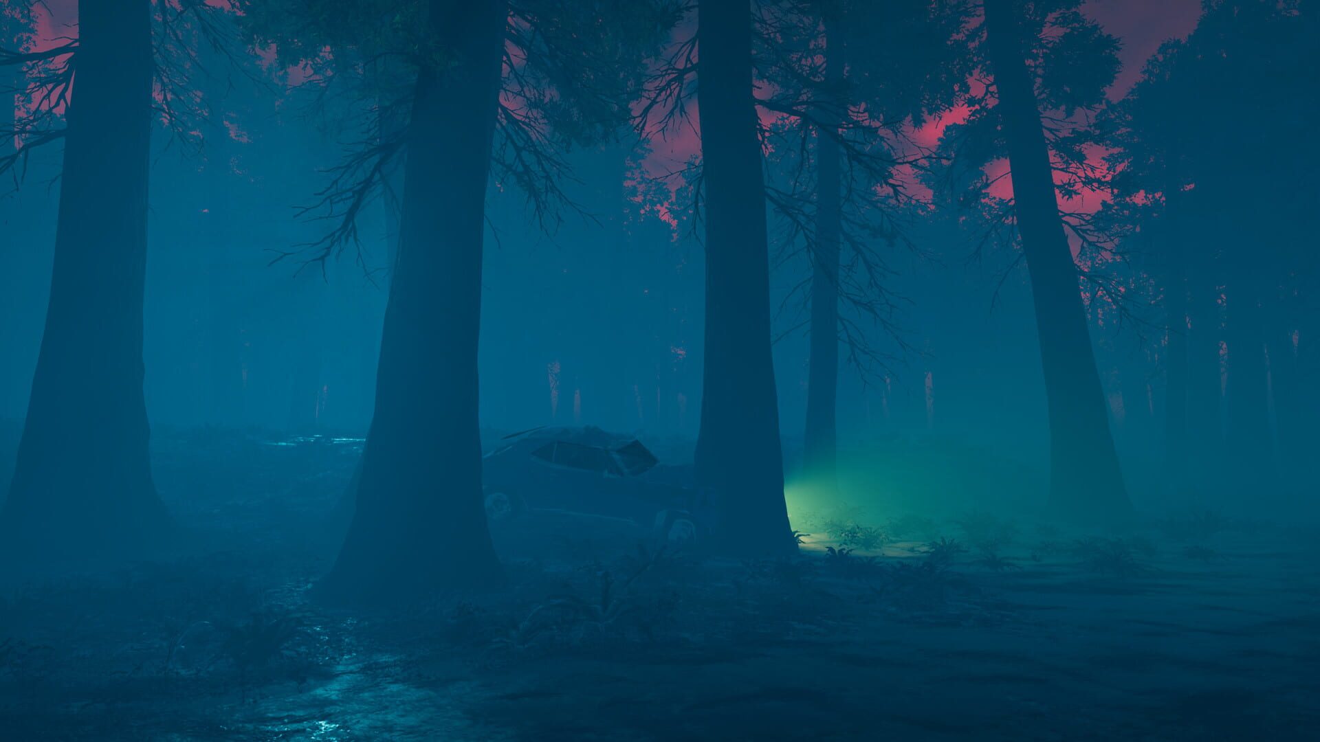 Foto do jogo The Woods