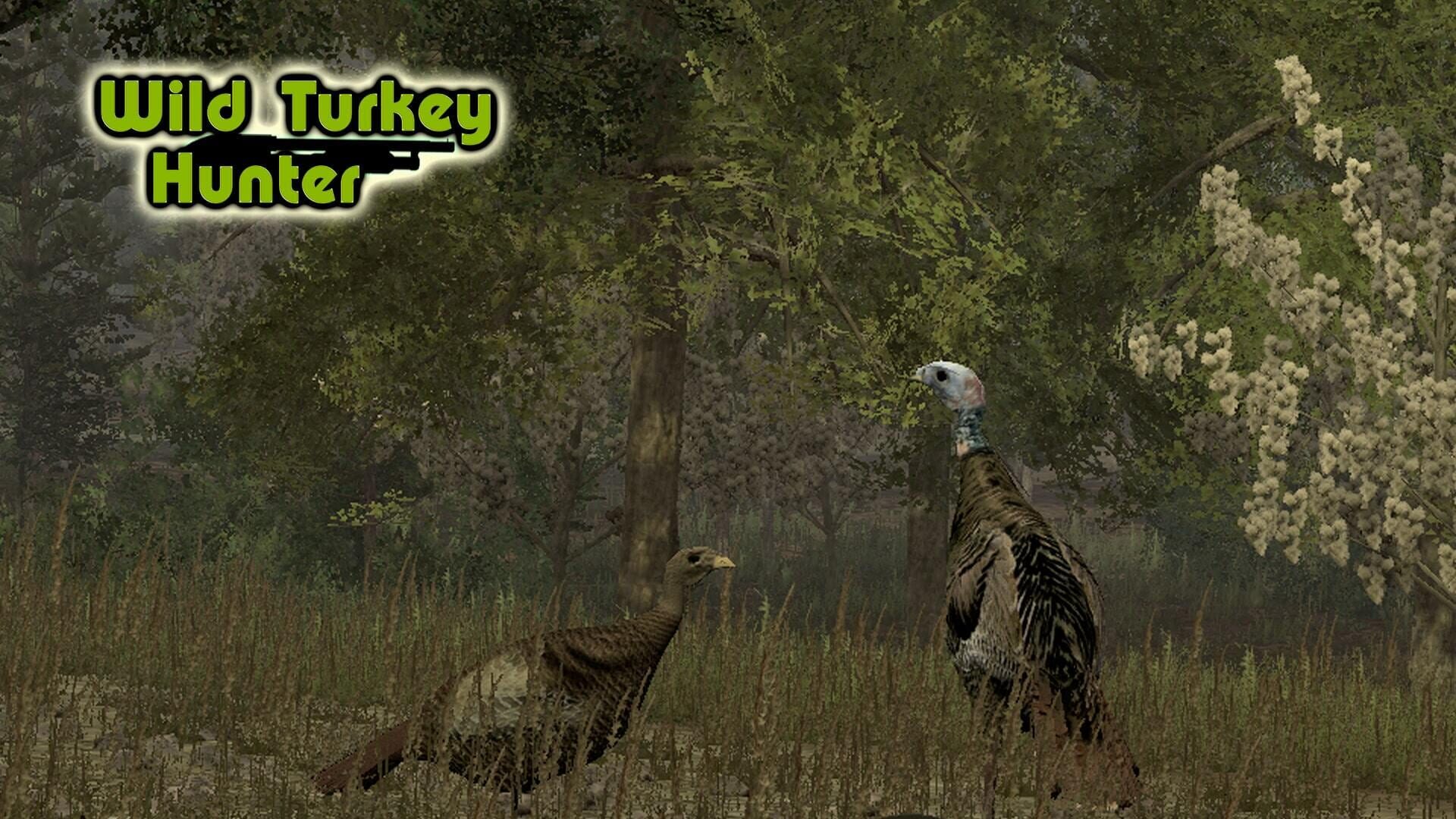 Foto do jogo Wild Turkey Hunter