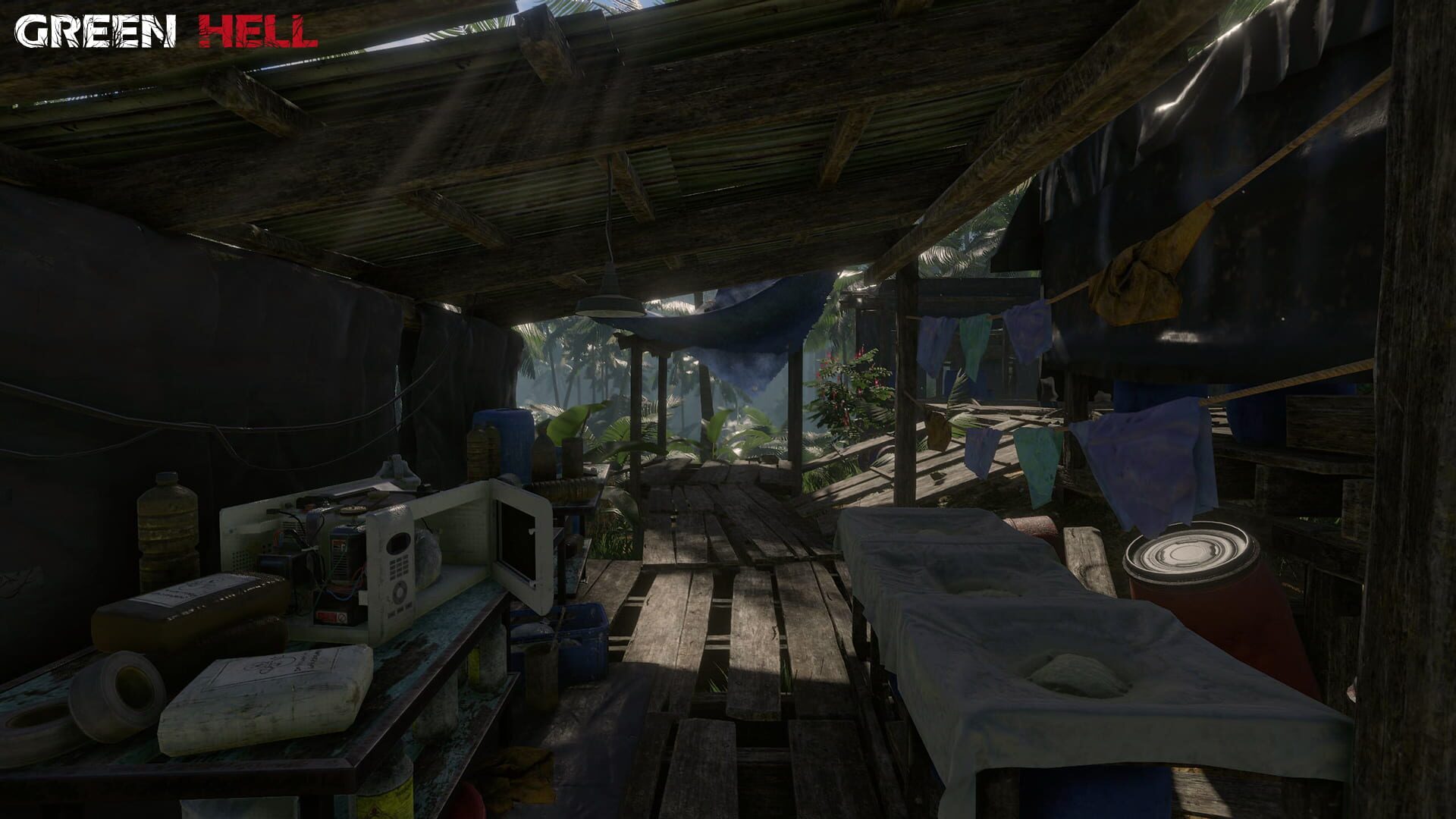 Foto do jogo Green Hell