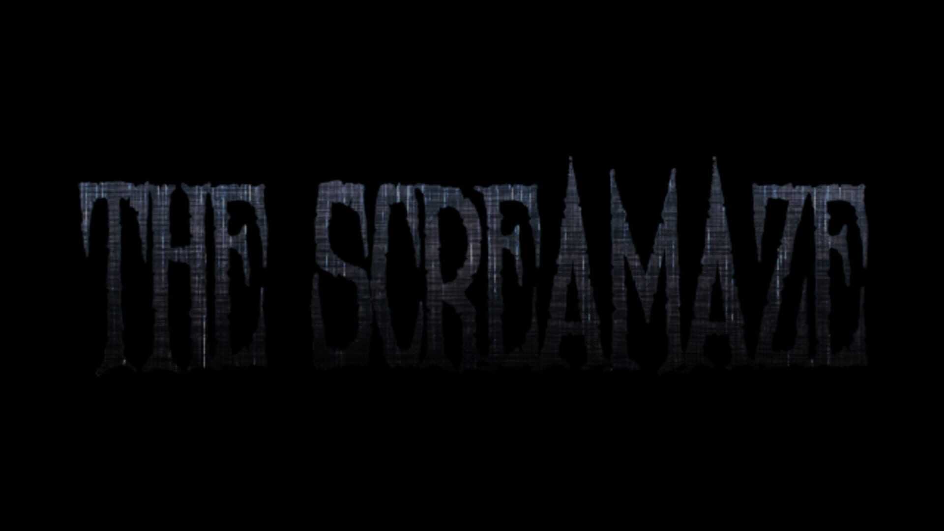 Foto do jogo The ScreaMaze