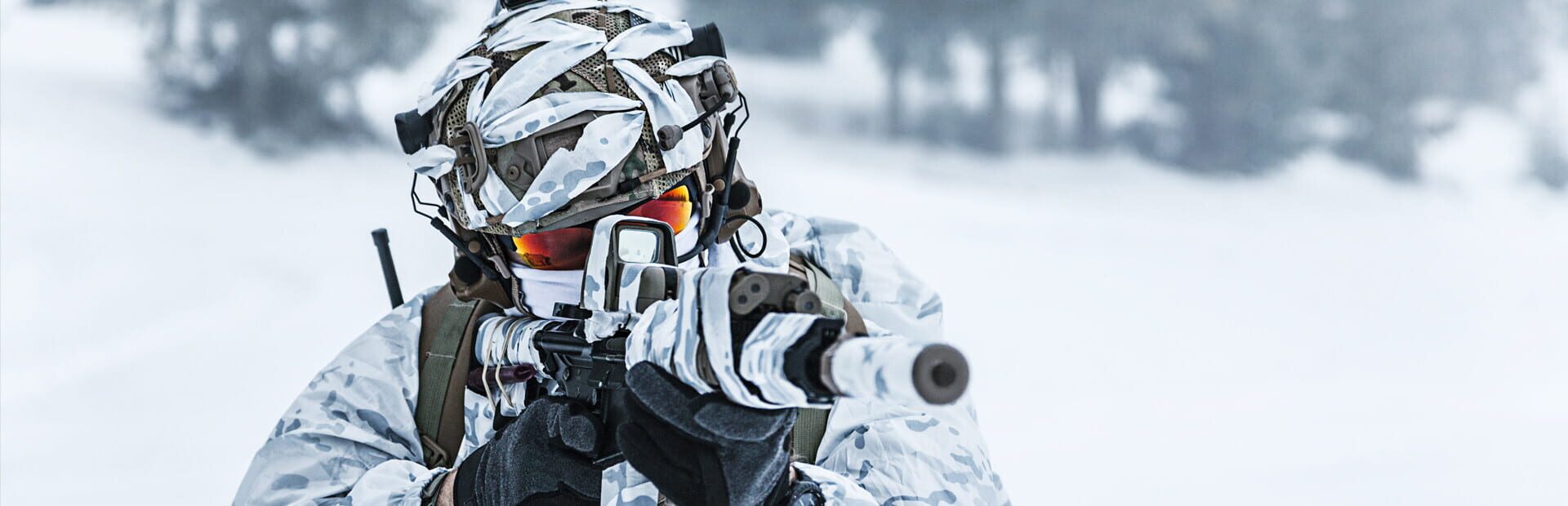 Foto do jogo Beyond Enemy Lines: Operation Arctic Hawk