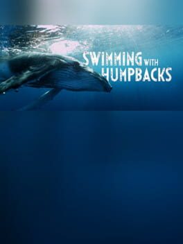 Foto do jogo Swimming with Humpbacks