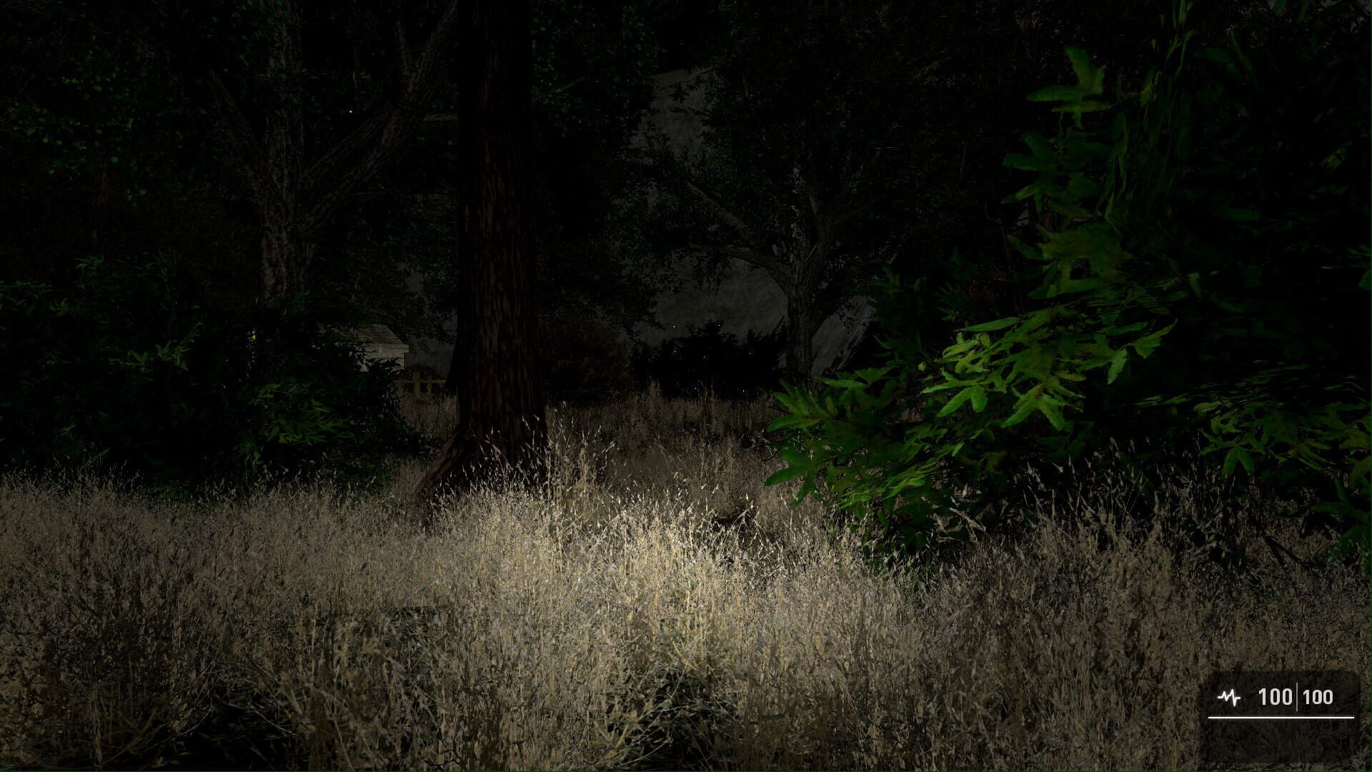 Foto do jogo The Ritual