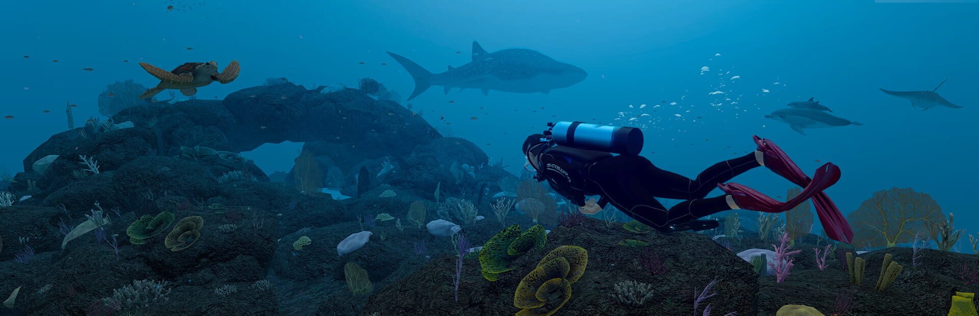 Foto do jogo Dive with Sylvia VR