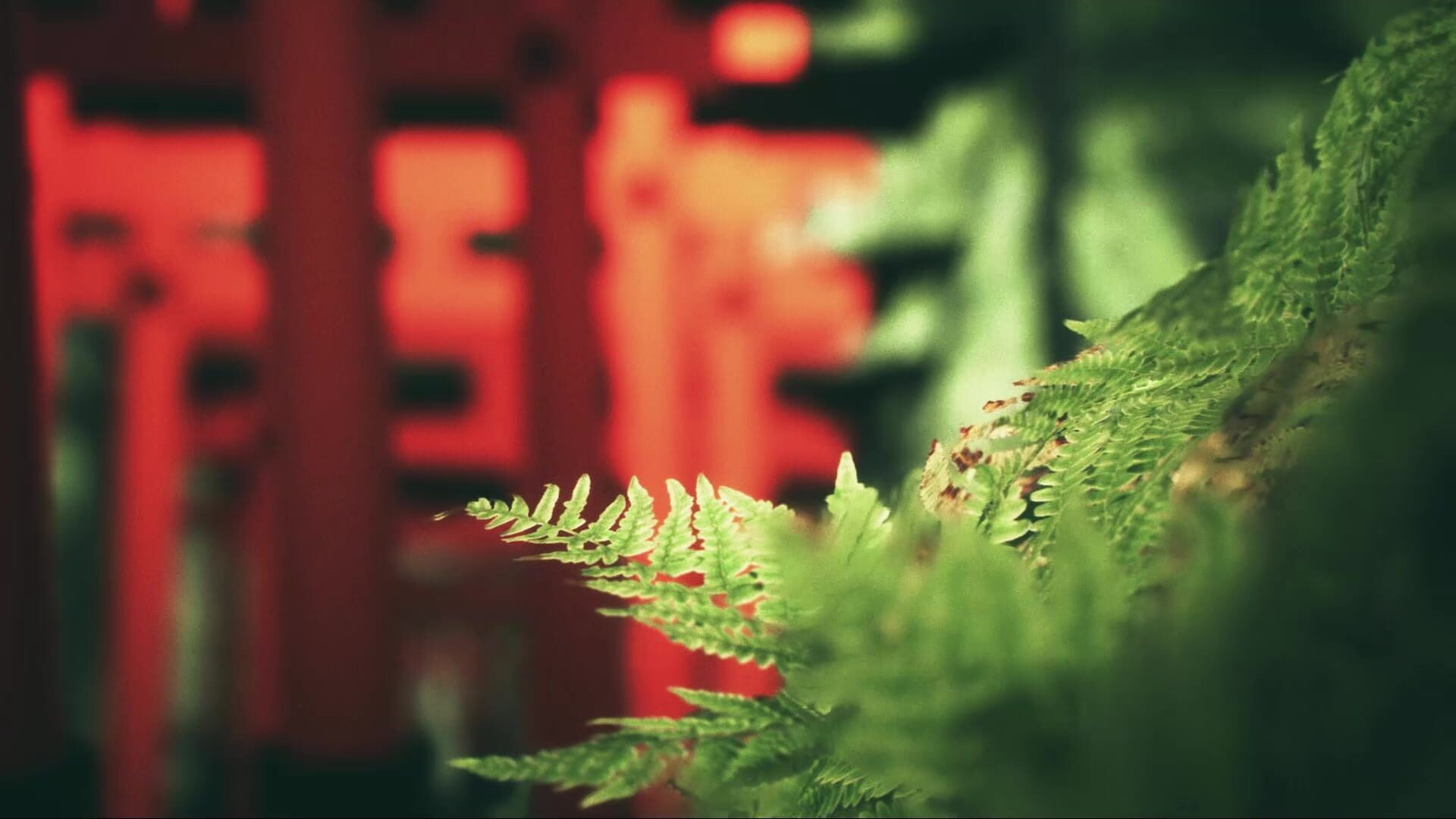 Foto do jogo Explore Fushimi Inari