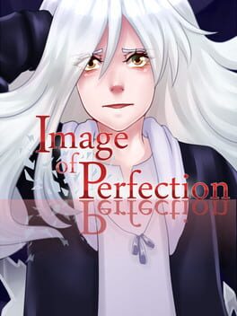 Foto do jogo Image of Perfection