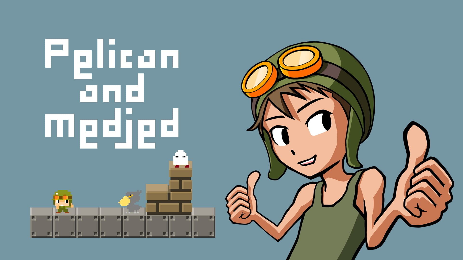 Foto do jogo Pelican and Medjed
