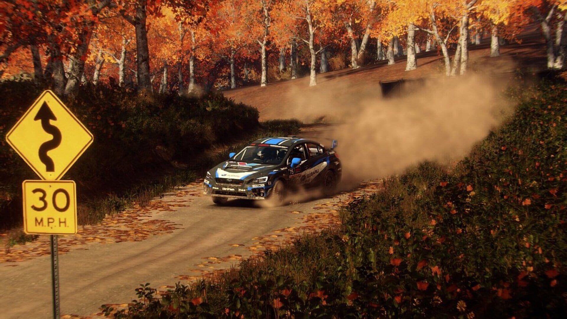 Foto do jogo DiRT Rally 2.0: Super Deluxe Edition