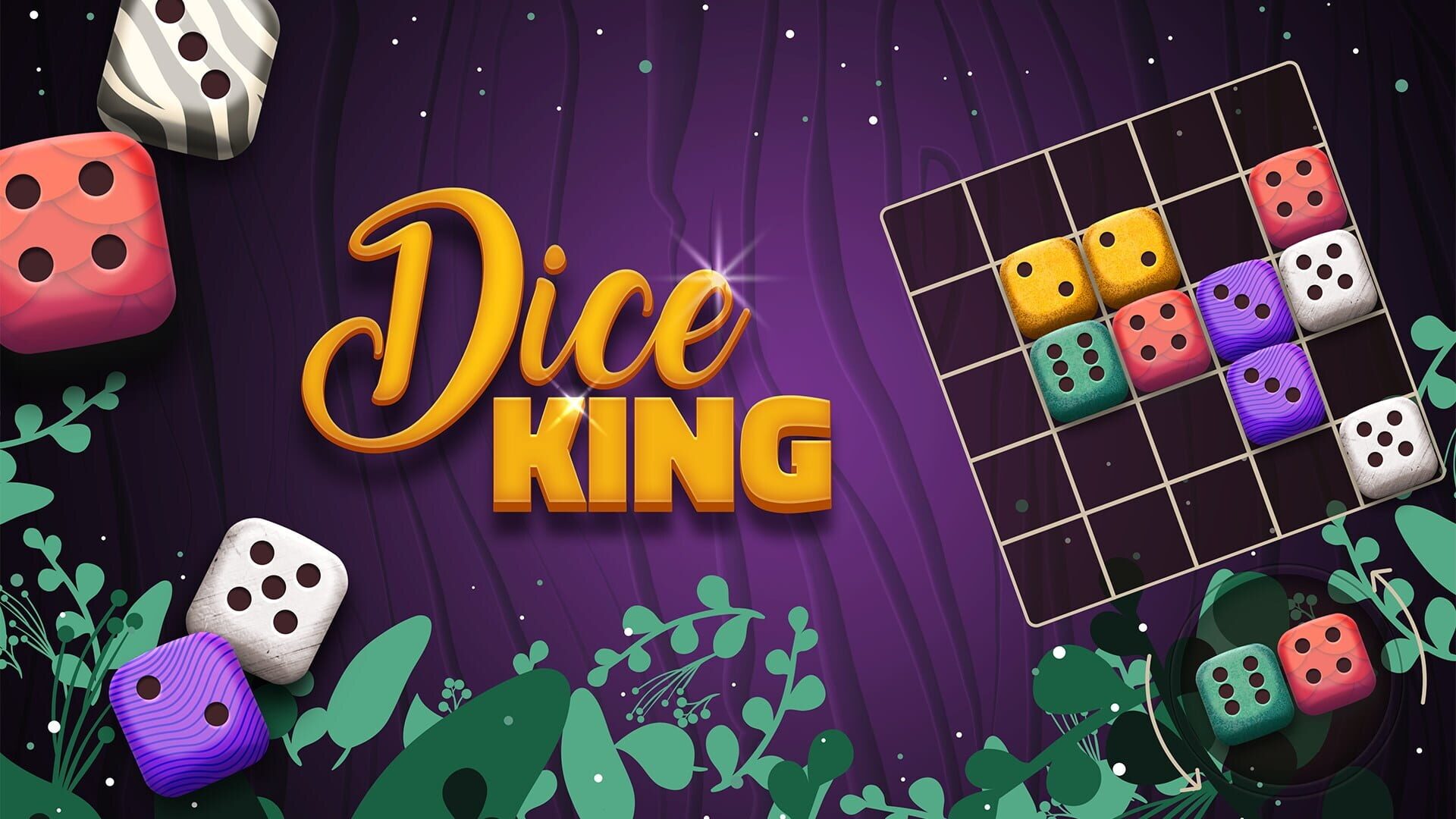 Foto do jogo Dice King