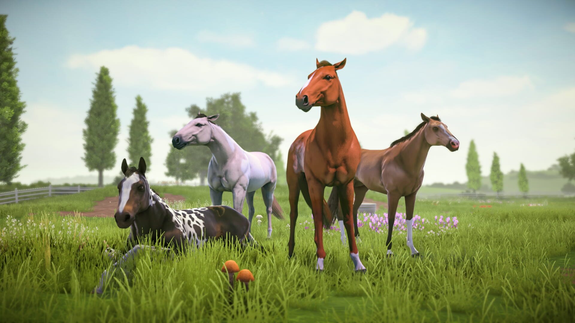 Foto do jogo Rival Stars Horse Racing