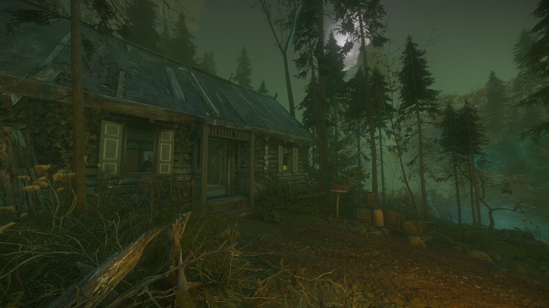 Foto do jogo The Cursed Forest