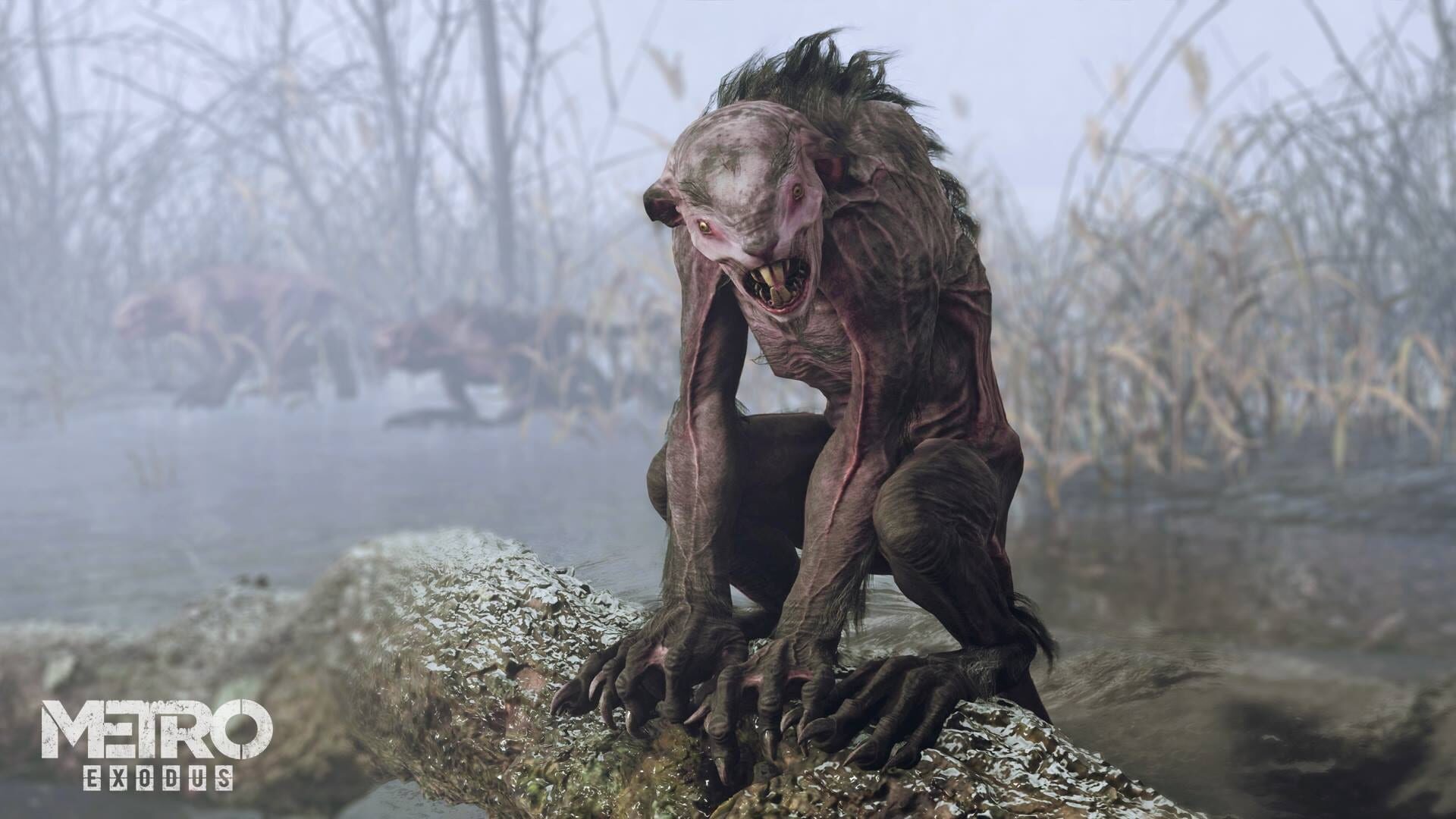 Foto do jogo Metro Exodus