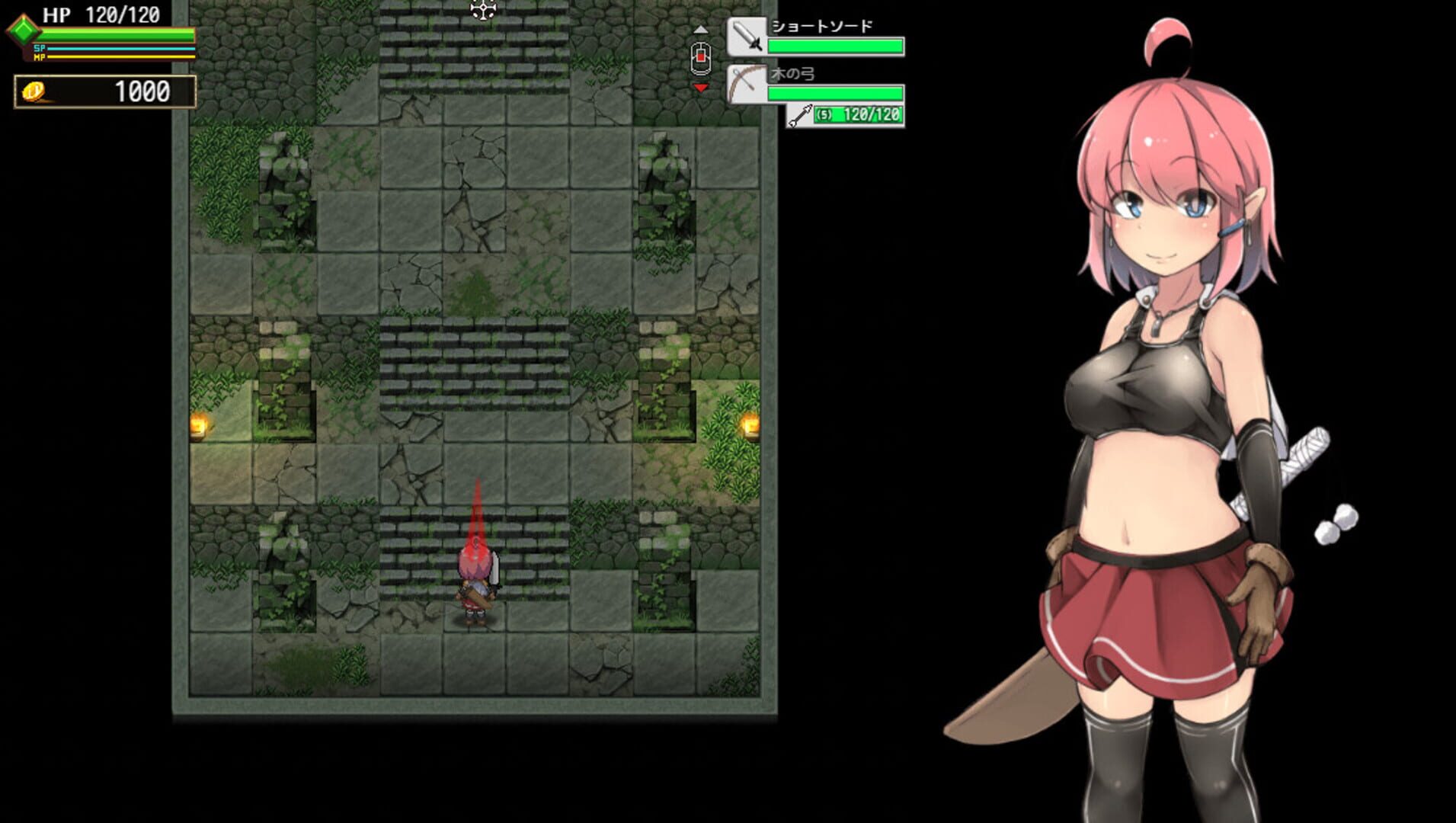 Foto do jogo Ruins Seeker