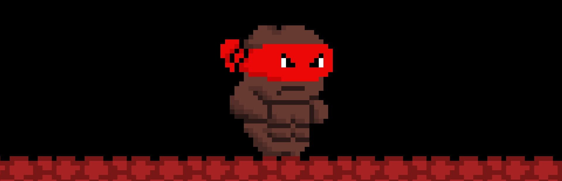 Foto do jogo Ninja Turdle