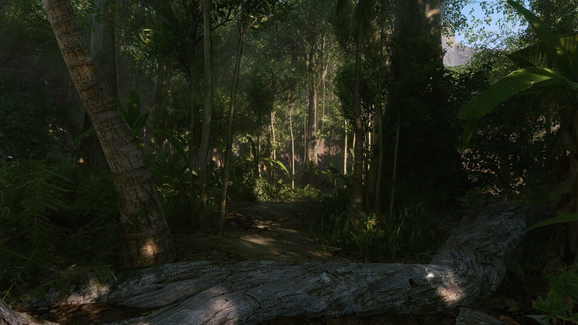 Foto do jogo Crysis Remastered