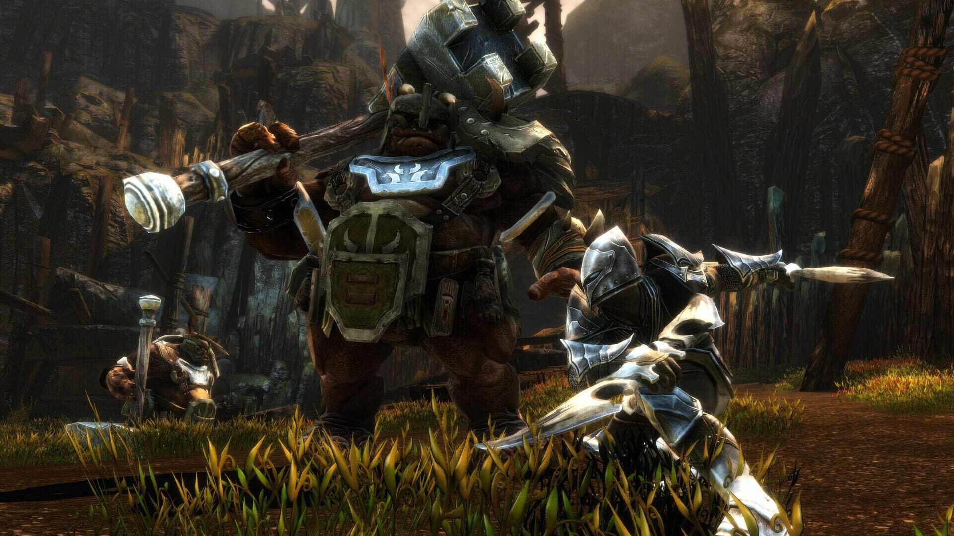 Foto do jogo Kingdoms of Amalur: Re-Reckoning - Fate Edition