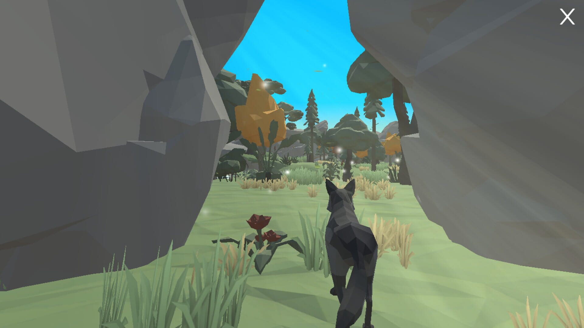 Foto do jogo Mighty forest
