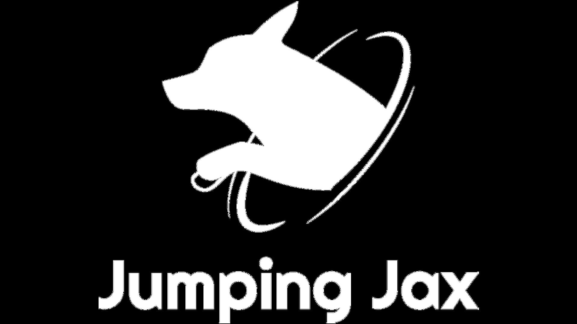 Foto do jogo Jumping Jax