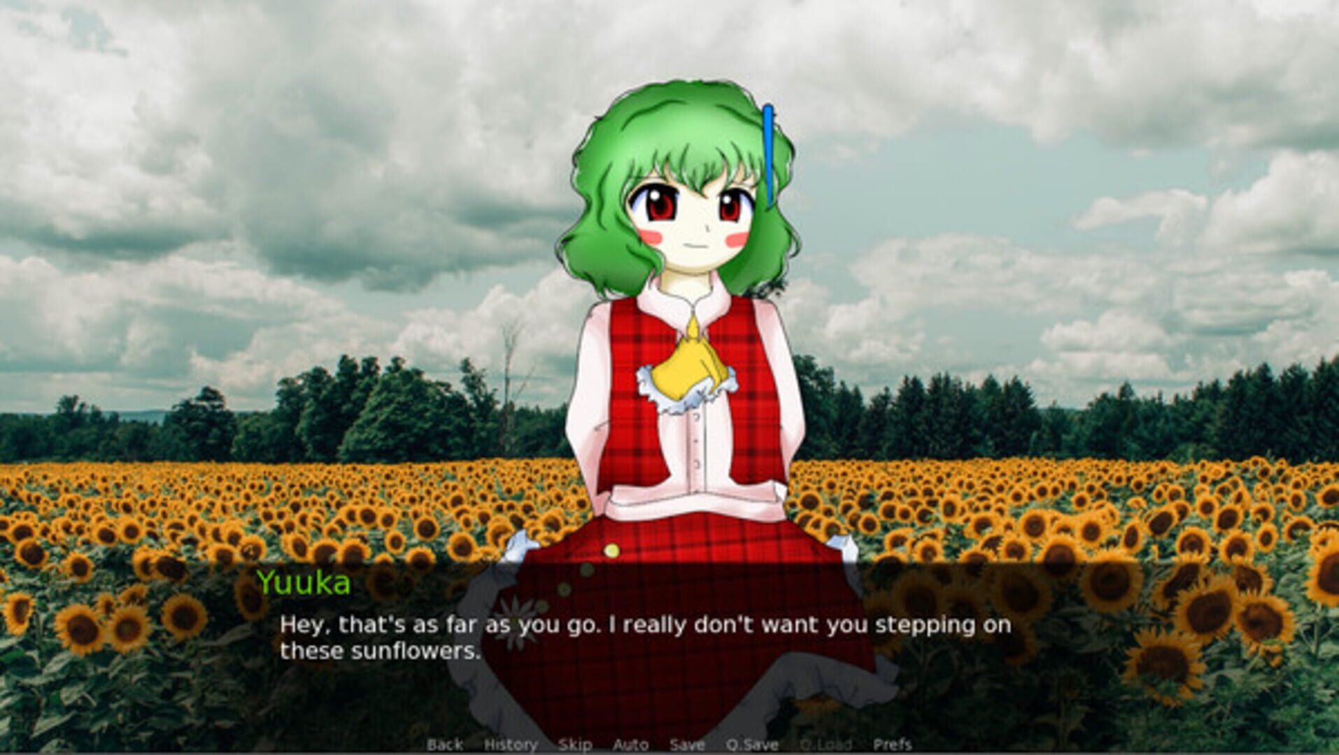 Foto do jogo CBT With Yuuka Kazami