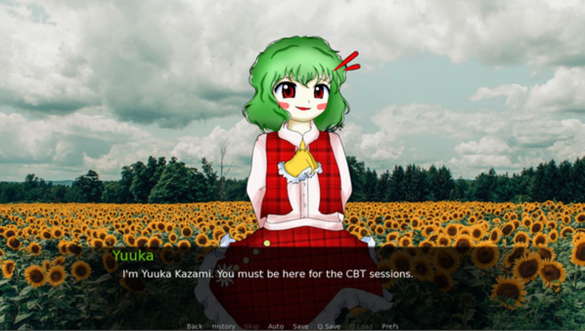 Foto do jogo CBT With Yuuka Kazami